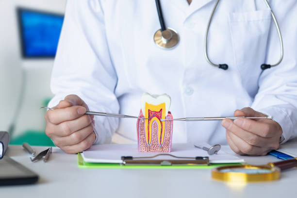 Best Emergency Dental Services for Seniors in Hagerstown, IN
